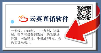 双轨制度软件,直销会员结算系统,双轨直销后台奖金结算软件
